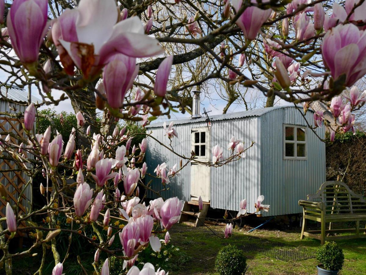 The Wayside Shepherd Hut Beaulieu Exterior foto